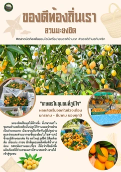 catalogs_file_15_29_38_76119.webp